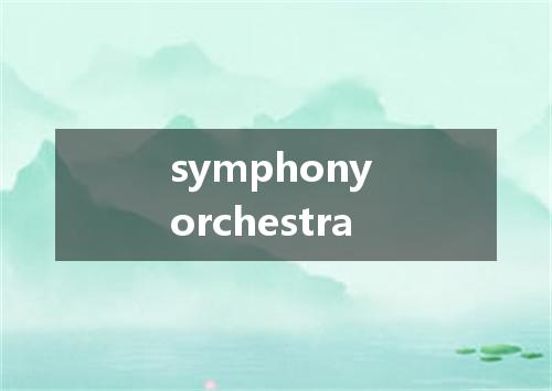 symphony orchestra是什么意思