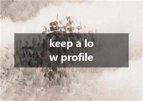 keep a low profile是什么意思