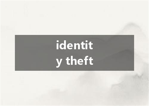 identity theft是什么意思