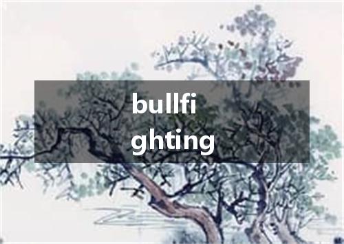 bullfighting是什么意思