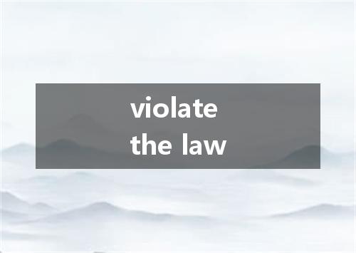 violate the law是什么意思