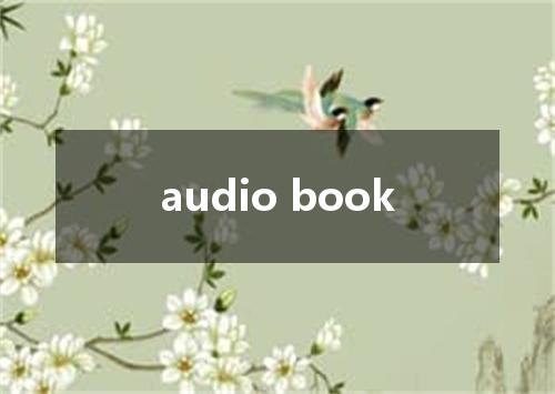 audio book是什么意思