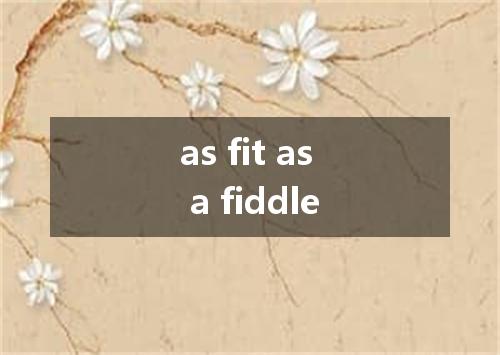 as fit as a fiddle是什么意思