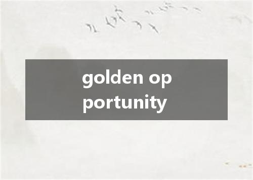 golden opportunity是什么意思