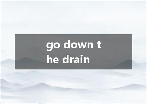 go down the drain是什么意思