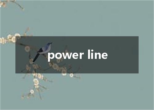 power line是什么意思
