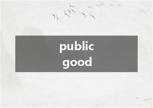 public good是什么意思