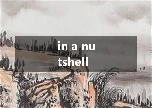 in a nutshell是什么意思