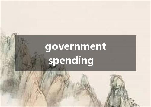 government spending是什么意思