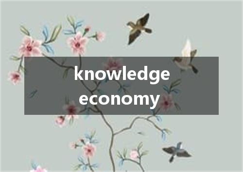 knowledge economy是什么意思