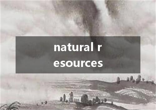 natural resources是什么意思