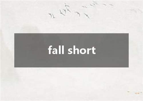 fall short是什么意思