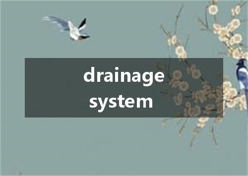 drainage system是什么意思