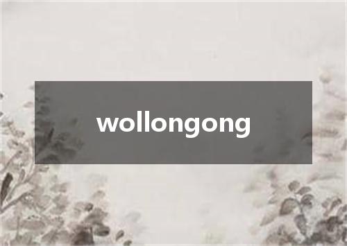 wollongong是什么意思