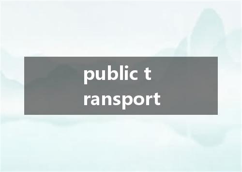 public transport是什么意思