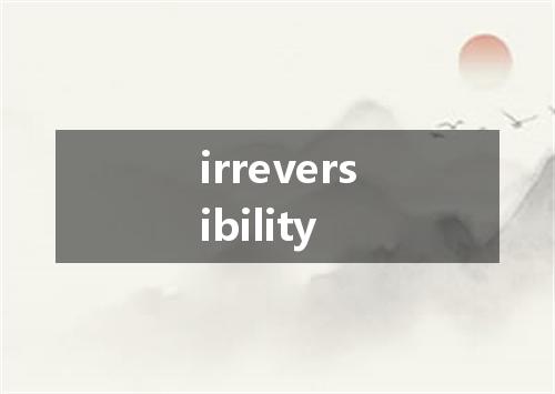 irreversibility是什么意思
