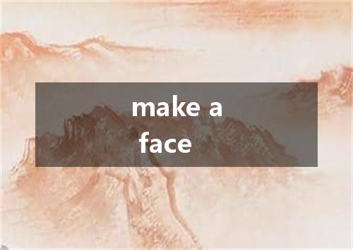 make a face是什么意思