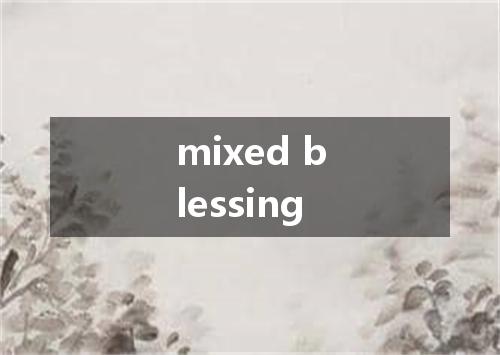 mixed blessing是什么意思