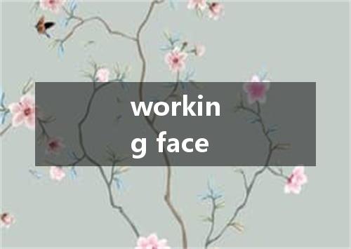 working face是什么意思