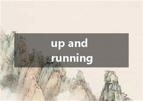 up and running是什么意思