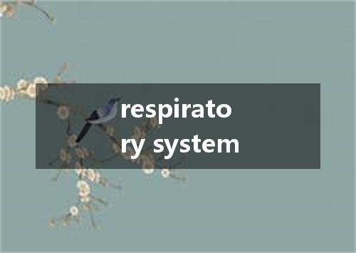 respiratory system是什么意思
