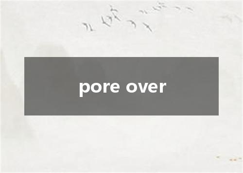 pore over是什么意思