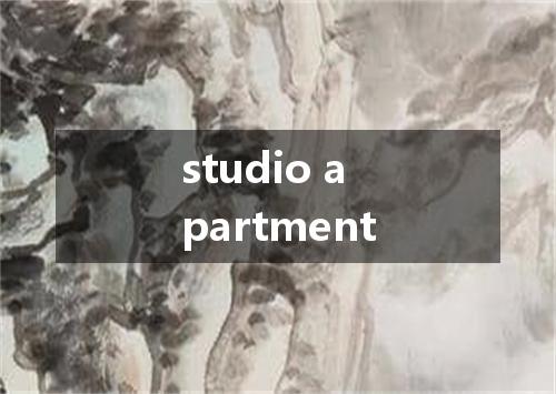 studio apartment是什么意思