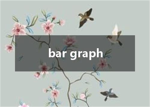 bar graph是什么意思