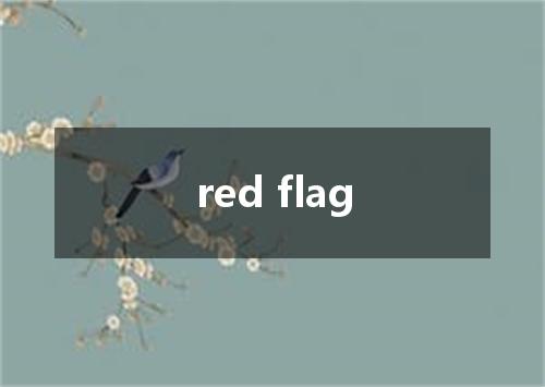 red flag是什么意思