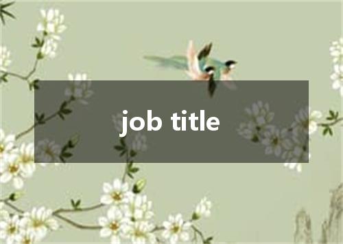 job title是什么意思