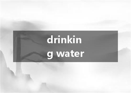 drinking water是什么意思