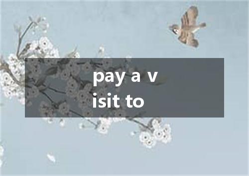 pay a visit to是什么意思