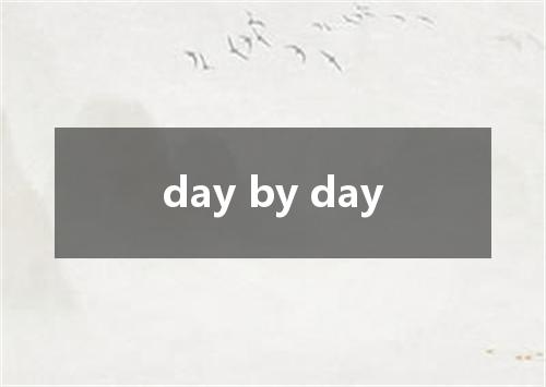 day by day是什么意思