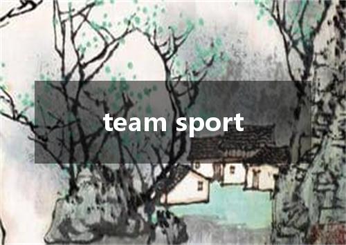 team sport是什么意思
