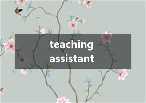 teaching assistant是什么意思