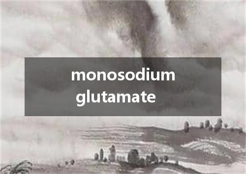 monosodium glutamate是什么意思