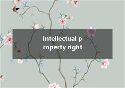 intellectual property right是什么意思