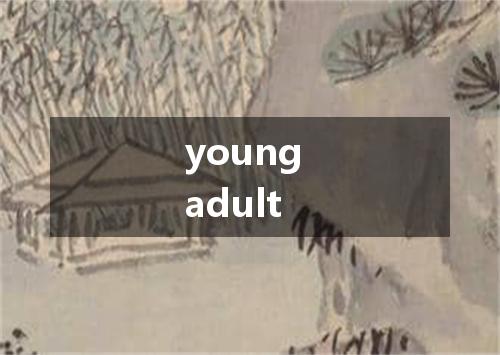 young adult是什么意思