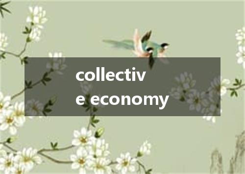collective economy是什么意思