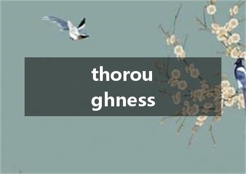 thoroughness是什么意思