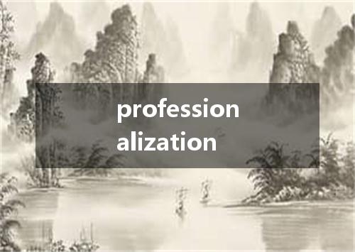 professionalization是什么意思