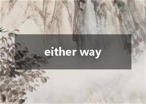 either way是什么意思
