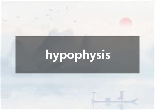 hypophysis是什么意思
