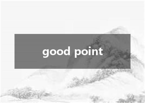 good point是什么意思