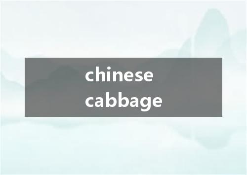 chinese cabbage是什么意思