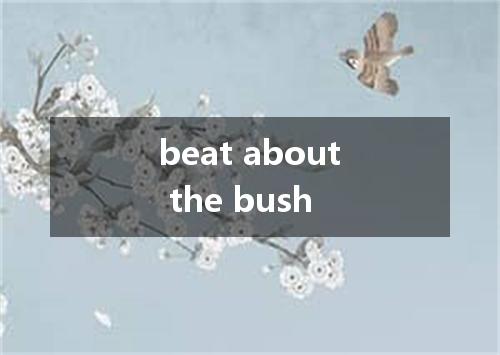 beat about the bush是什么意思