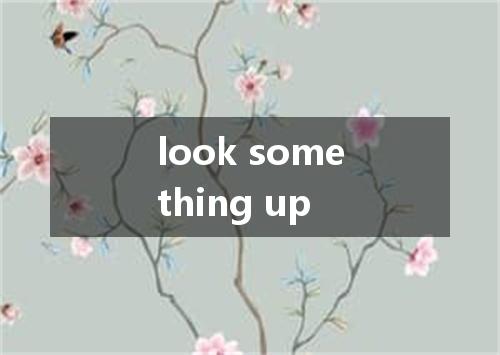 look something up是什么意思