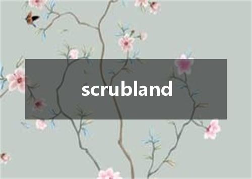 scrubland是什么意思
