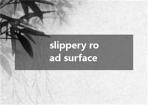 slippery road surface是什么意思