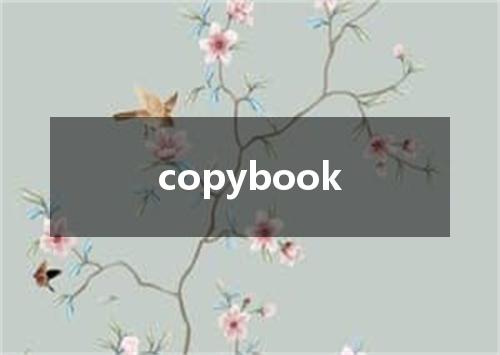 copybook是什么意思